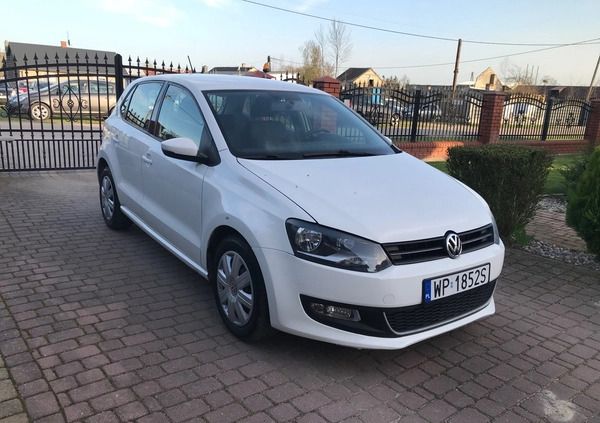 Volkswagen Polo cena 22900 przebieg: 152150, rok produkcji 2010 z Pułtusk małe 92